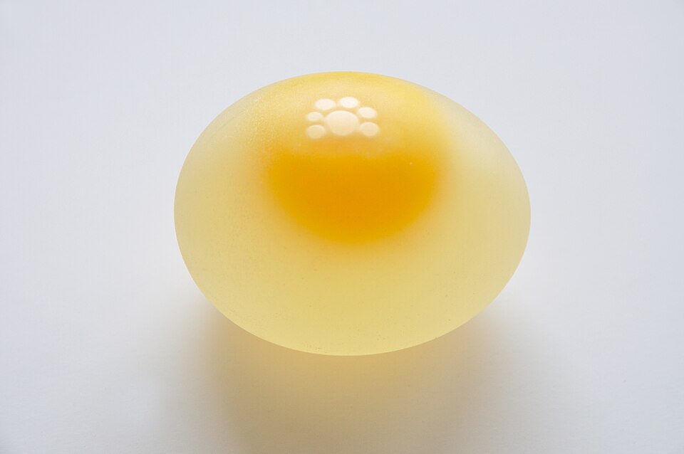 Telur Ayam